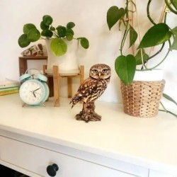 Interactive Little Owl 3D Wooden Puzzle Kit