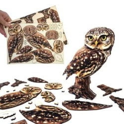 Interactive Little Owl 3D Wooden Puzzle Kit