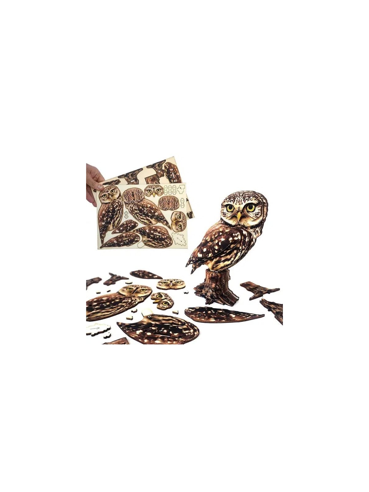 Interactive Little Owl 3D Wooden Puzzle Kit