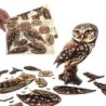 Interactive Little Owl 3D Wooden Puzzle Kit
