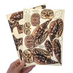 Interactive Little Owl 3D Wooden Puzzle Kit