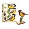Interactive Great Tit Bird 3D Wooden Puzzle Kit