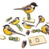 Interactive Great Tit Bird 3D Wooden Puzzle Kit