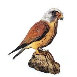 Interactive Lesser Kestrel Bird 3D Wooden Puzzle Kit