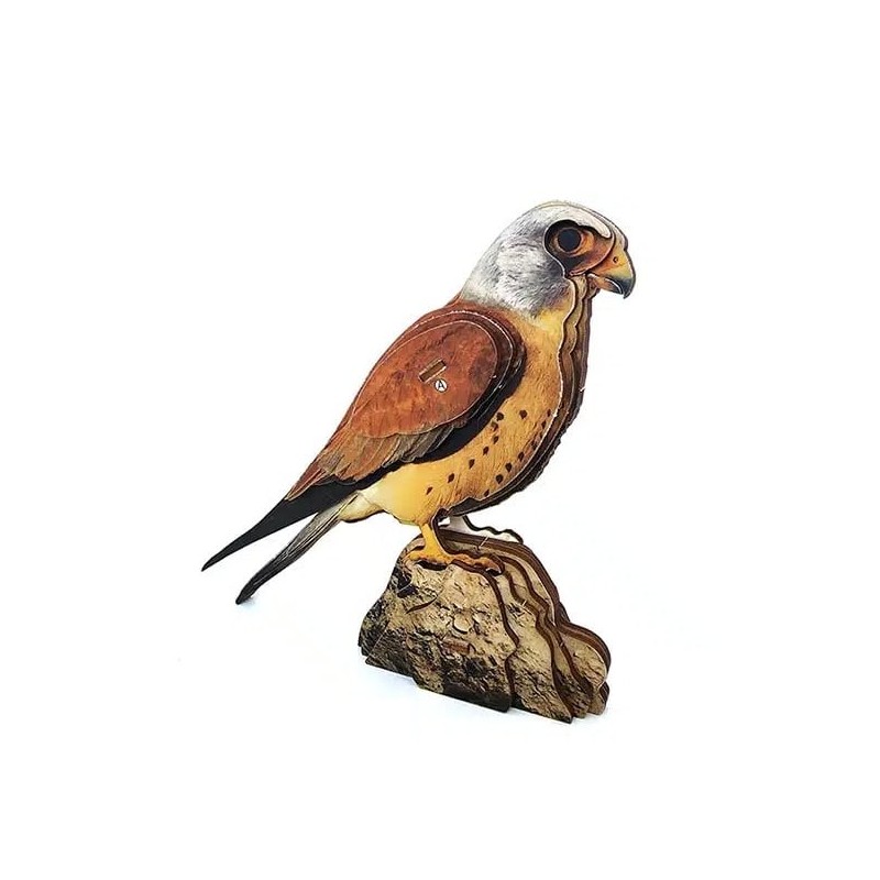 Interactive Lesser Kestrel Bird 3D Wooden Puzzle Kit