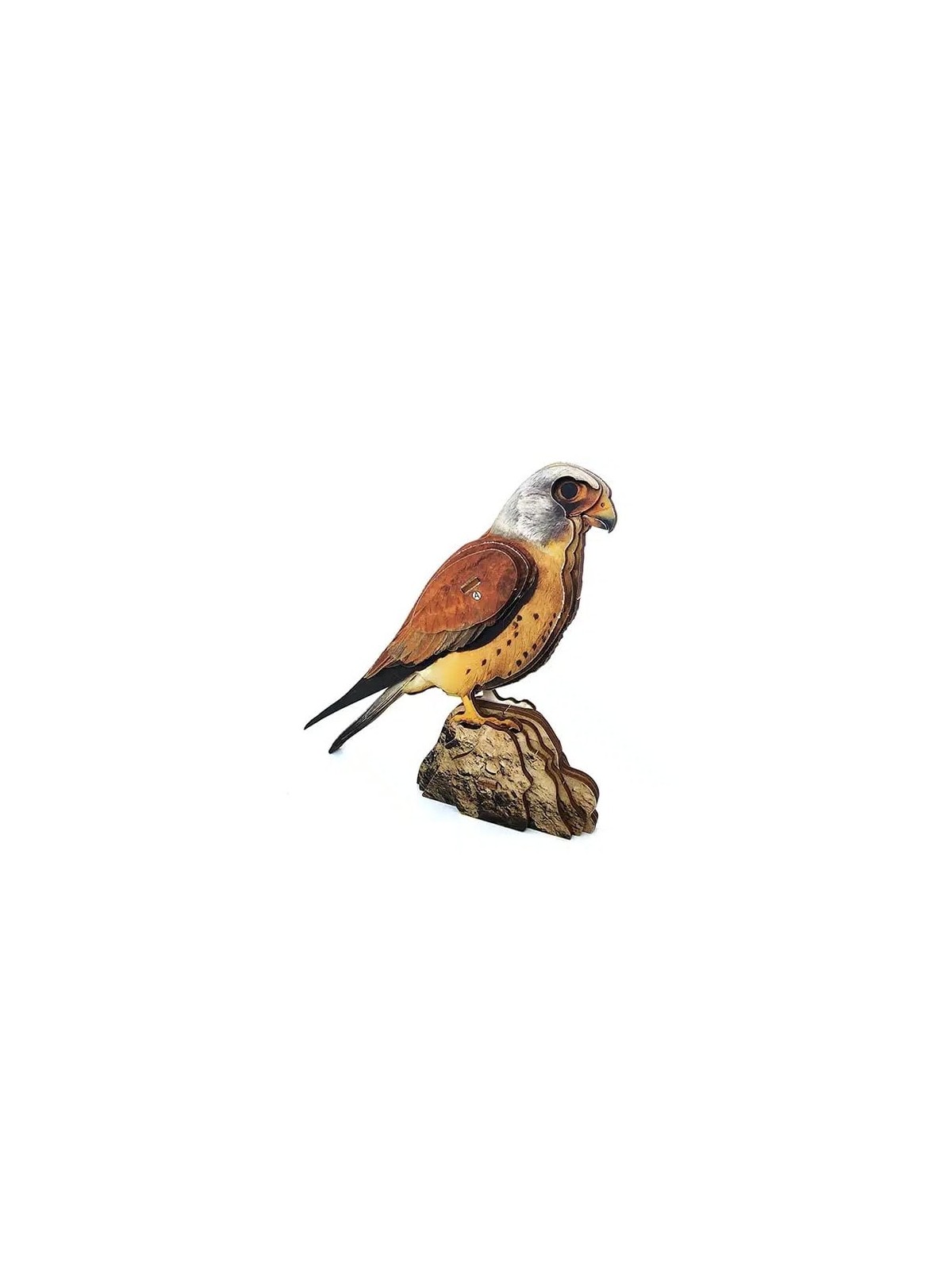 Interactive Lesser Kestrel Bird 3D Wooden Puzzle Kit