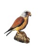 Interactive Lesser Kestrel Bird 3D Wooden Puzzle Kit