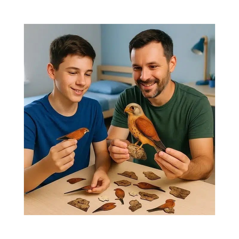 Interactive Lesser Kestrel Bird 3D Wooden Puzzle Kit