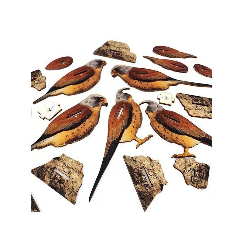 Interactive Lesser Kestrel Bird 3D Wooden Puzzle Kit