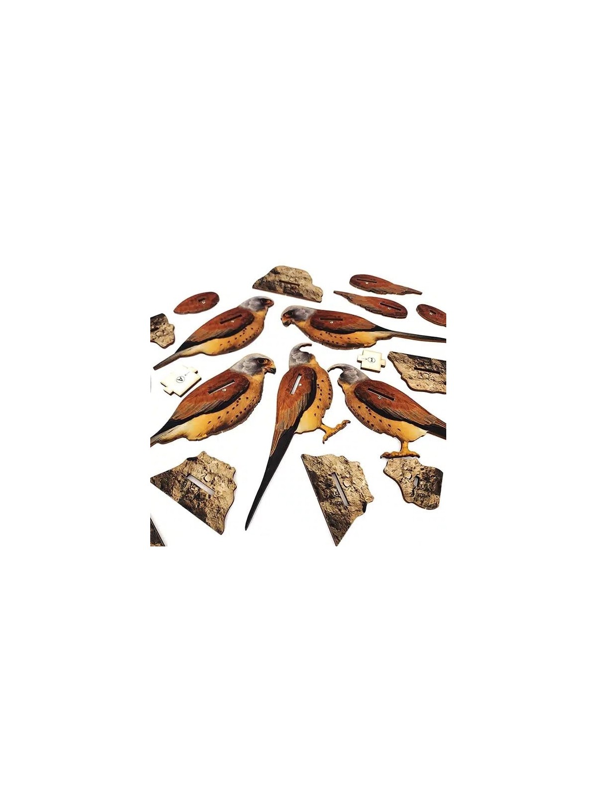 Interactive Lesser Kestrel Bird 3D Wooden Puzzle Kit