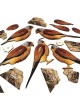 Interactive Lesser Kestrel Bird 3D Wooden Puzzle Kit