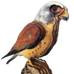 Interactive Lesser Kestrel Bird 3D Wooden Puzzle Kit