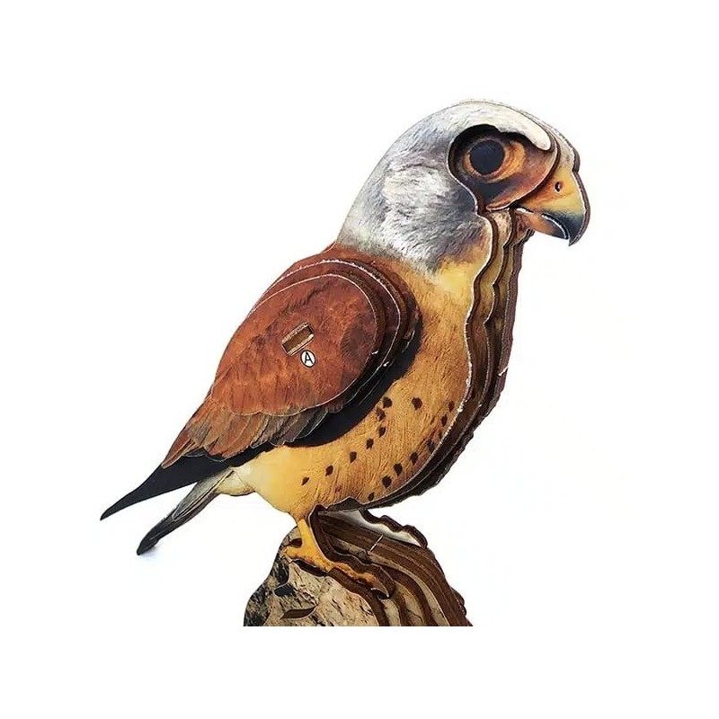 Interactive Lesser Kestrel Bird 3D Wooden Puzzle Kit