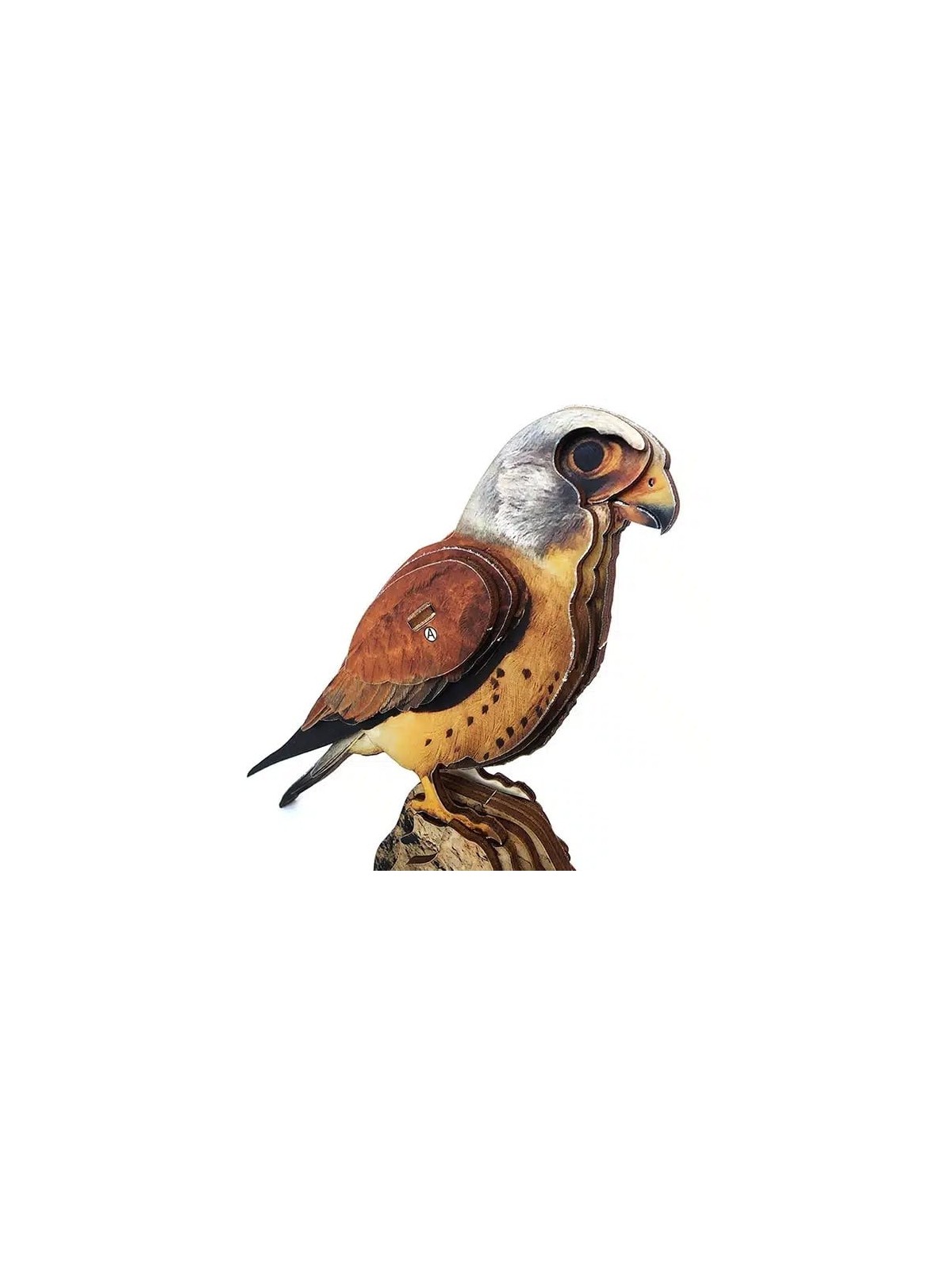 Interactive Lesser Kestrel Bird 3D Wooden Puzzle Kit