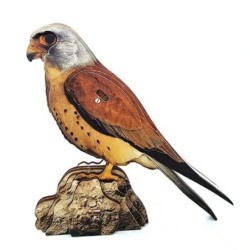 Interactive Lesser Kestrel Bird 3D Wooden Puzzle Kit