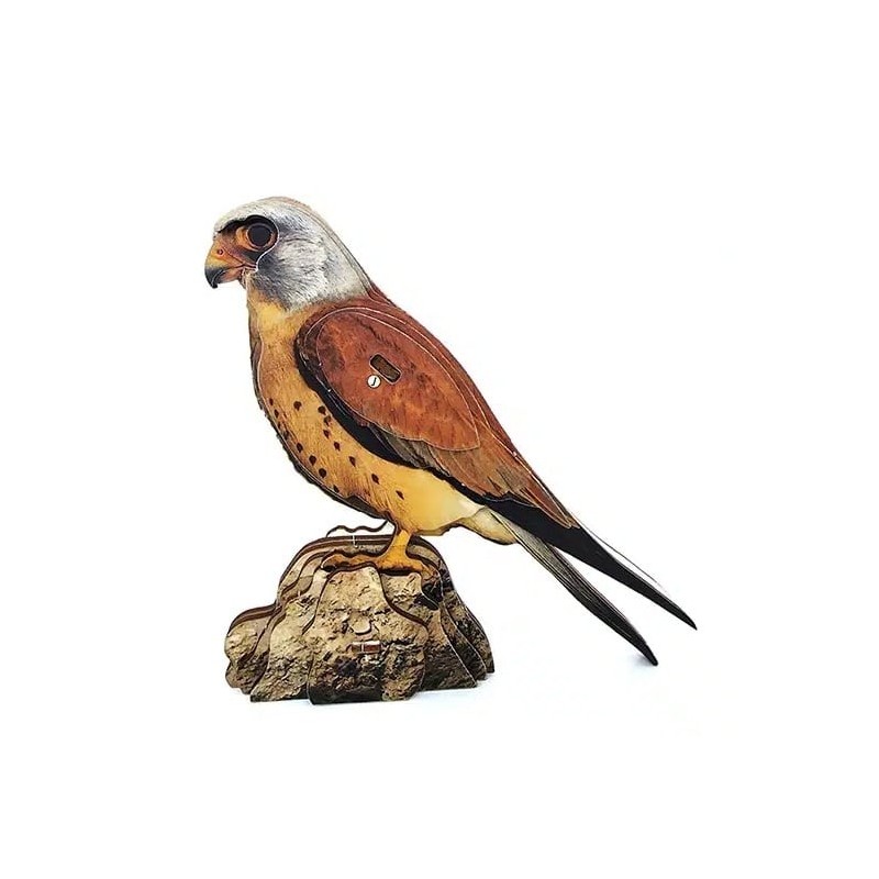 Interactive Lesser Kestrel Bird 3D Wooden Puzzle Kit