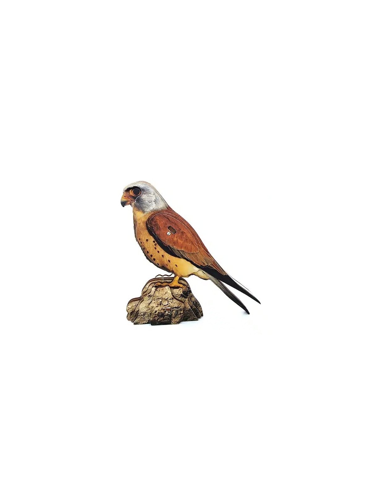 Interactive Lesser Kestrel Bird 3D Wooden Puzzle Kit