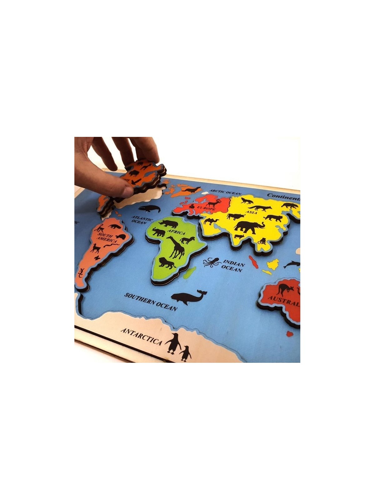 Educational Continents & Oceans Wooden Puzzle