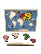 Educational Continents & Oceans Wooden Puzzle