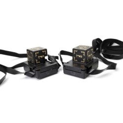 Pair of Tefillin Dakkot - Peshutim Mehudarim - Ashkenazi Version