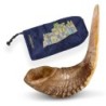 Kosher Classic Natural Ram's Horn Shofar 18'-20' / 45-50 cm - Free Gif