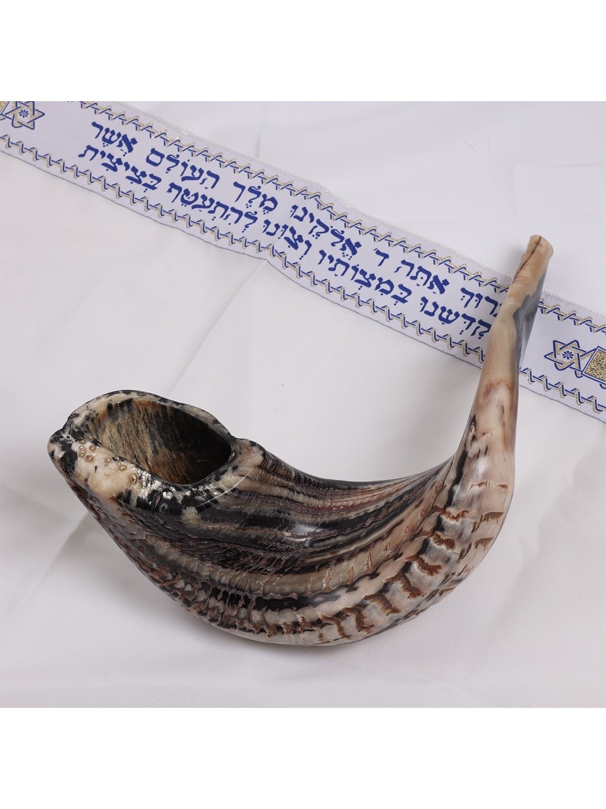 Kosher Classic Natural Ram's Horn Shofar 18'-20' / 45-50 cm - Free Gif
