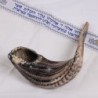 Kosher Classic Natural Ram's Horn Shofar 18'-20' / 45-50 cm - Free Gif