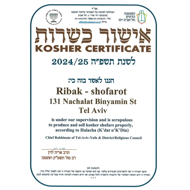 Kosher Classic Natural Ram's Horn Shofar 18'-20' / 45-50 cm - Free Gif