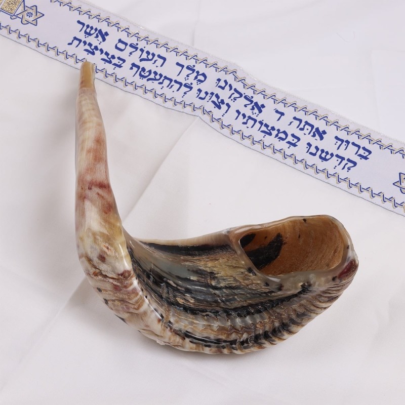 Kosher Classic Natural Ram's Horn Shofar 20'-22' / 50-55 cm