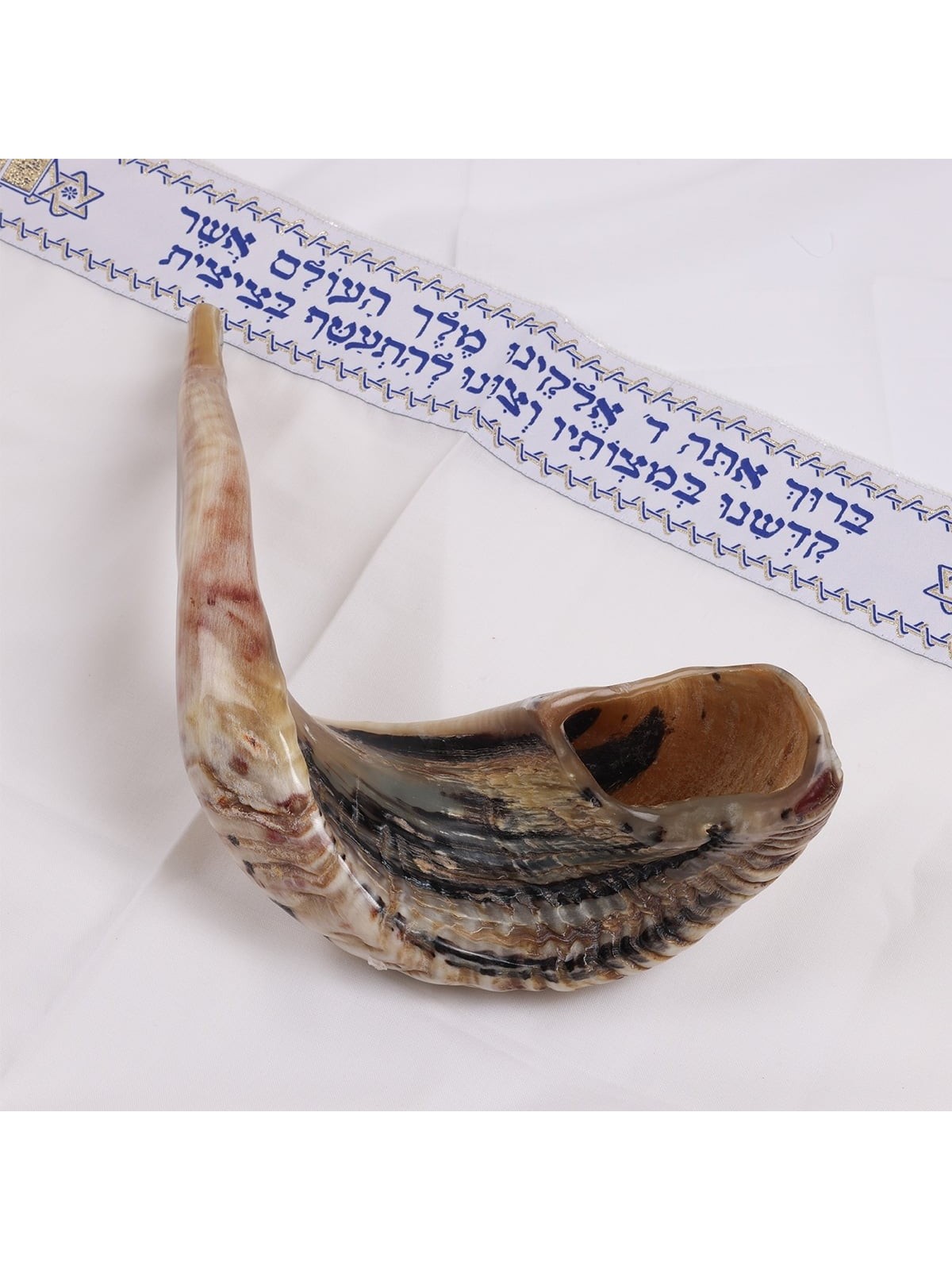 Kosher Classic Natural Ram's Horn Shofar 20'-22' / 50-55 cm