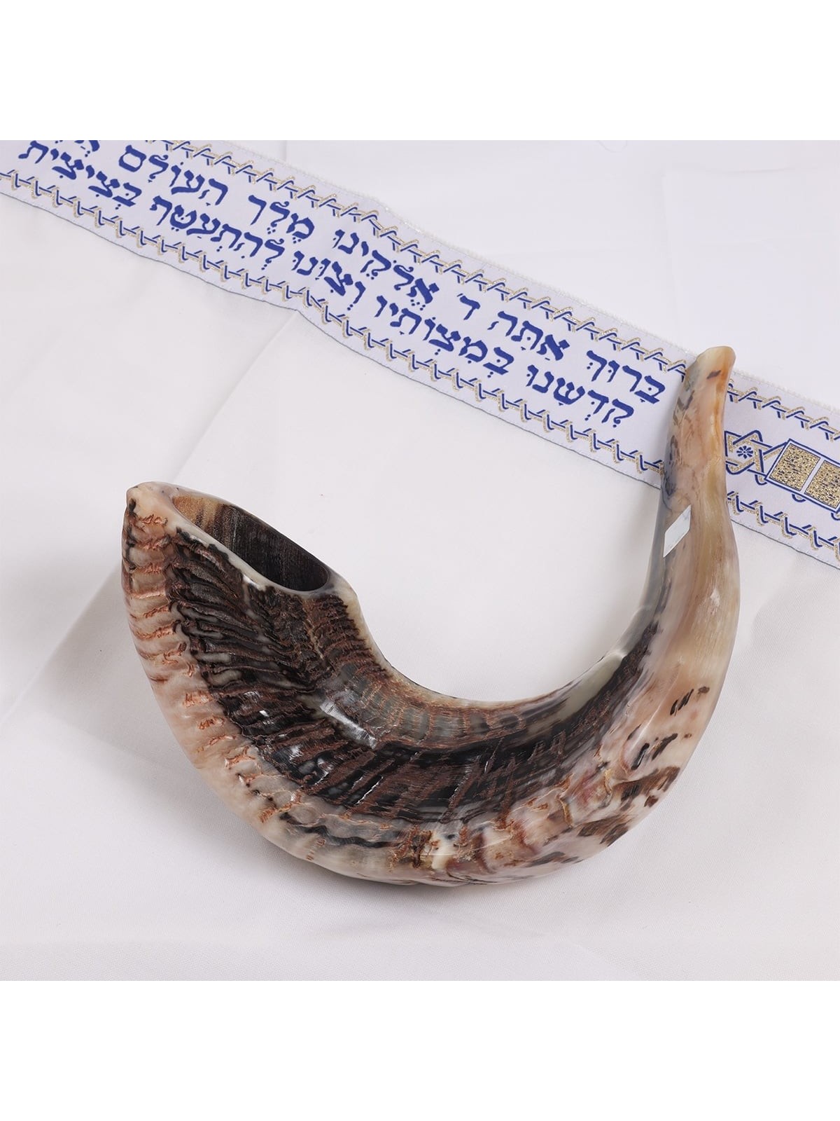 Kosher Classic Natural Ram's Horn Shofar 20'-22' / 50-55 cm