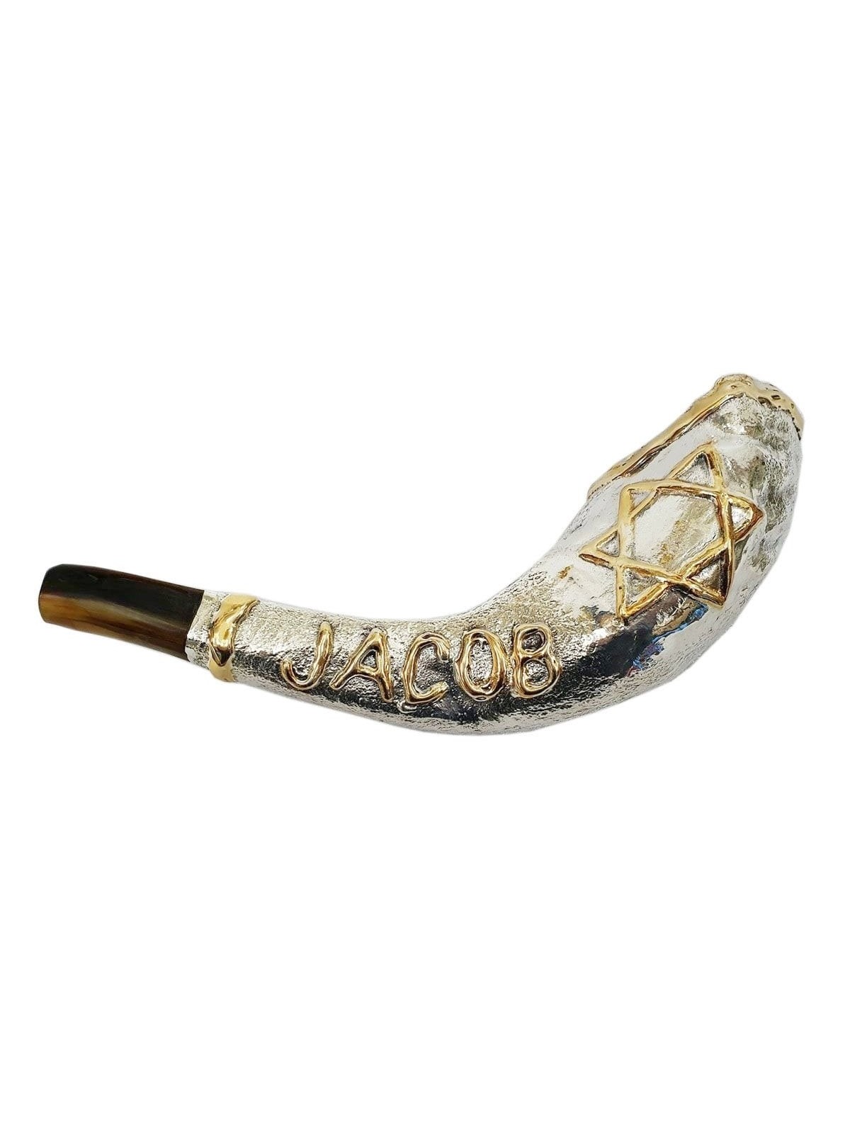 Barsheshet-Ribak English/Hebrew Customizable Silver-Plated Shofar With