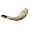 Barsheshet-Ribak English/Hebrew Customizable Silver-Plated Shofar With