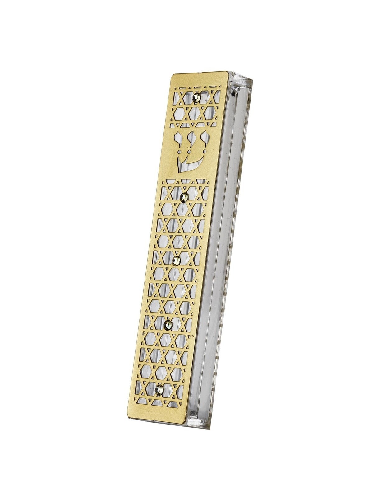 Dorit Judaica Gold-Plated Acrylic Mezuzah Case