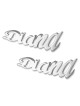 925 Sterling Silver Personalized Name Earrings