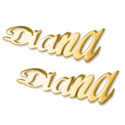 24K Yellow Gold Plated Personalized Name Earrings