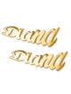 24K Yellow Gold Plated Personalized Name Earrings