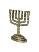Seven Branch Menorah - 12 Tribes of Israel (Variety of Colors)