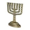 Seven Branch Menorah - 12 Tribes of Israel (Variety of Colors)