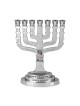 Seven Branch Menorah - 12 Tribes of Israel (Variety of Colors)
