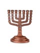 Seven Branch Menorah - 12 Tribes of Israel (Variety of Colors)