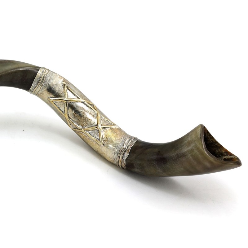 Sterling Silver Plated Yemenite Kudu Shofar - Star of David (Choice of