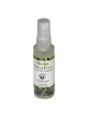 Sterling Silver Plated Yemenite Kudu Shofar - Star of David (Choice of