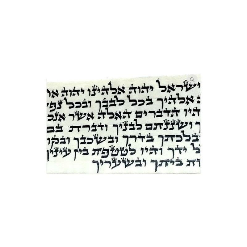 Pair of Tefillin Gassot - Ox-Neck Skin - Ashkenazi Ktav Ari Version