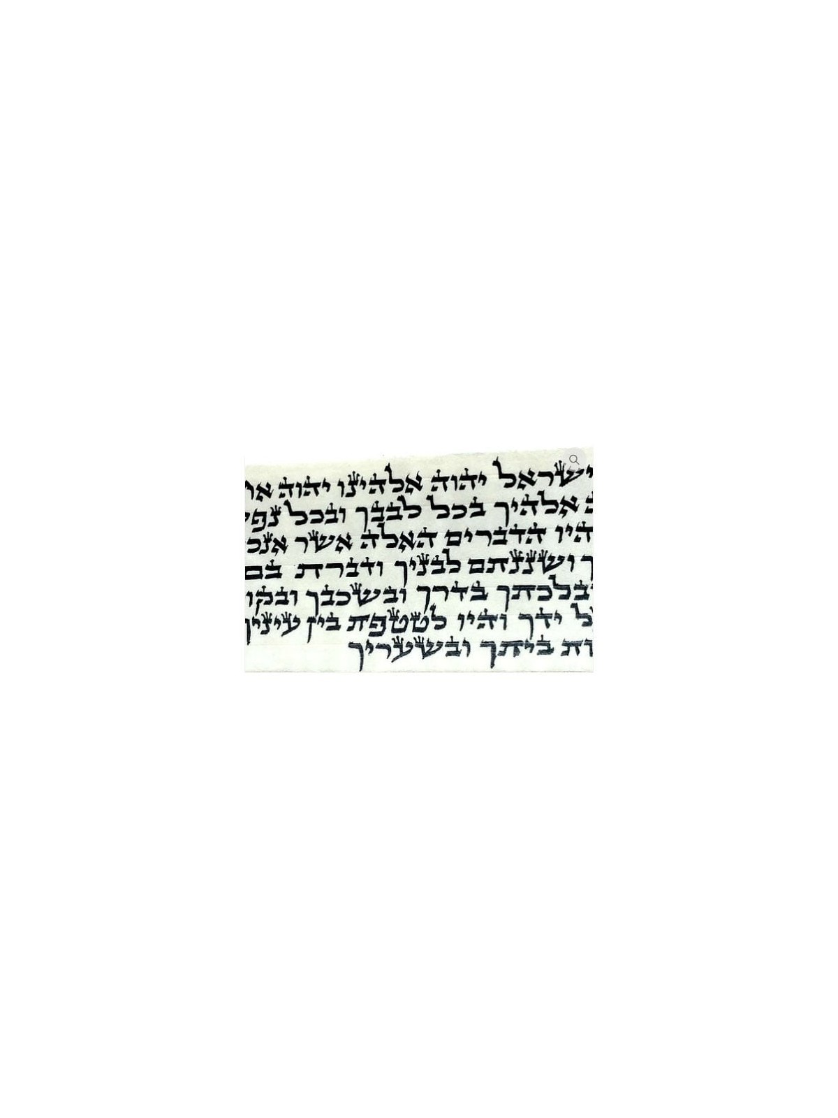 Pair of Tefillin Gassot - Ox-Neck Skin - Ashkenazi Ktav Ari Version