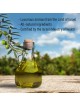 Myrrh Anointing Oil 12 ml