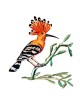 David Gerstein Signed Sculpture - Hoopoe Bird (Double Sided)