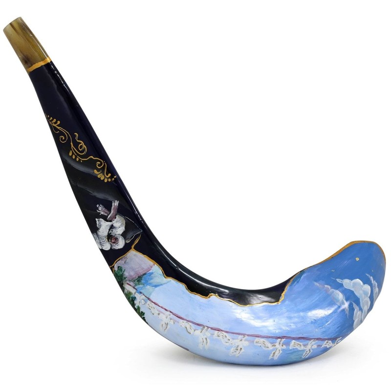 Hand Painted Jacob's Dream Shofar