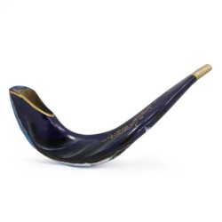 Hand Painted Jacob's Dream Shofar