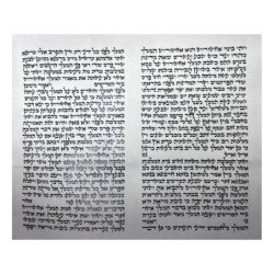 Megillat Esther Ashkenaz Beit Yosef Version - 14' / 37 cm (Mehadrin Ko